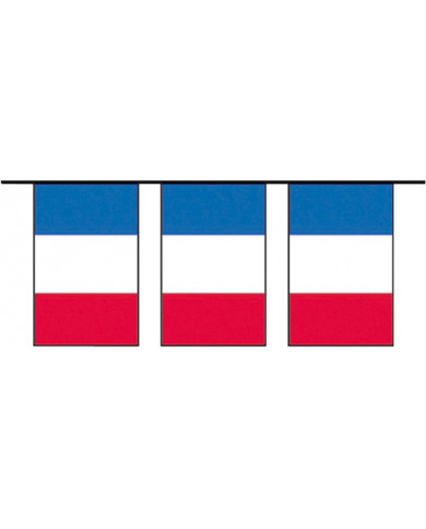 Petit drapeau français avec hampe